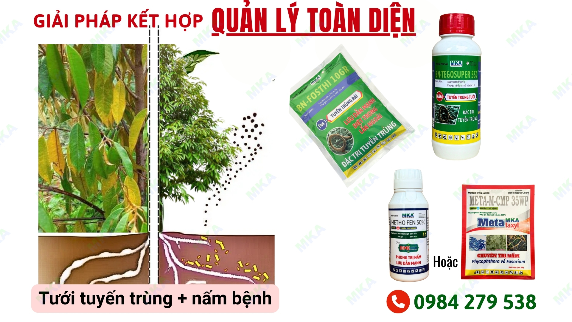 tuyến trùng rễ